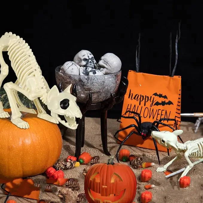 Cat and mouse skeleton Halloween display with pumpkins